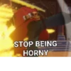 STOP BEING HORNY