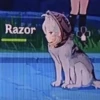 Razor