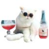 Mow & CHANDON PETWINERY XOSE