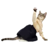 Goddamn cats 23