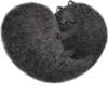 Grey cat 5