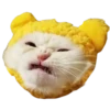 Goddamn cats 24