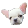 Frenchie Sticker Pack 19
