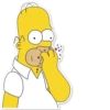 Homer Simpson 24
