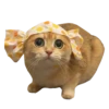 Goddamn cats 25
