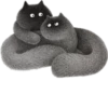 Grey cat 7