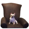 Frenchie Sticker Pack 20