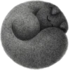 Grey cat 8