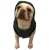Frenchie Sticker Pack 23