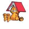 Garfield - Paulinha 25