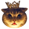 Goddamn cats 29