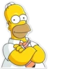 Homer Simpson 27