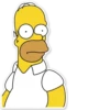 Homer Simpson 30