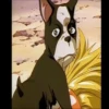 JoJo 29