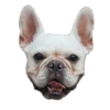 Frenchie Sticker Pack 28