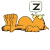 Garfield - Paulinha 29
