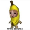 kittys 5