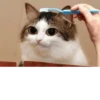 Hyper's Cats (and dogs?) 5