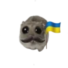 КYрва хомік 8