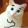 Hyper's Cats (and dogs?) 6