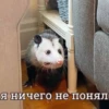 цьноц ән оләһинь