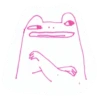 frogs and toads 13