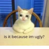 is it because im ugly?