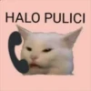 HALO PULICI