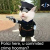 Polici here, u commited crime hooman? </>