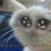 sadness noise