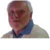 Harold Hide the pain 11
