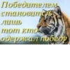 By @HET_HEPBOB 14