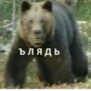 By @HET_HEPBOB 15