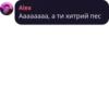 Alex Аааааааа, а ти хитрий пес