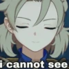 i cannot see
