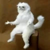 Does_not_simple 15