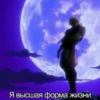 Jojojofans 18