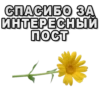 СПАСИБО ЗА ИНТЕРЕСНЫЙ пост
