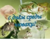 Привет от 22
