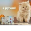 Привет от 23