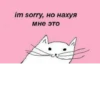 kittys 28