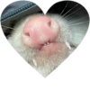 Hehehehehehehehe 23