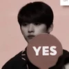 minho mem 29