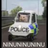 POLICE NINUNINUNINU