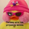 Привет от 29