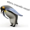 Привет от 30