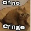 Oh no cringe :: 10