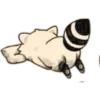 Habēmus Raccoon 7