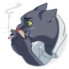 Blacksad 11