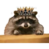 Habēmus Raccoon 8